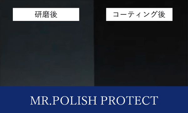 MR.POLISH PROTECT