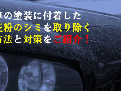 車の塗装に付着した花粉のシミを取り除く方法と対策をご紹介！｜横浜の車のコーティング専門店ミスターポリッシュ