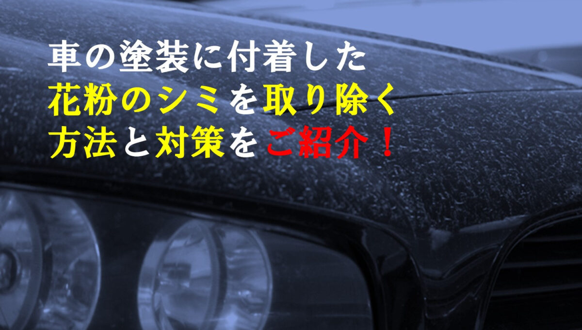 車の塗装に付着した花粉のシミを取り除く方法と対策をご紹介!|横浜の車のコーティング専門店ミスターポリッシュ