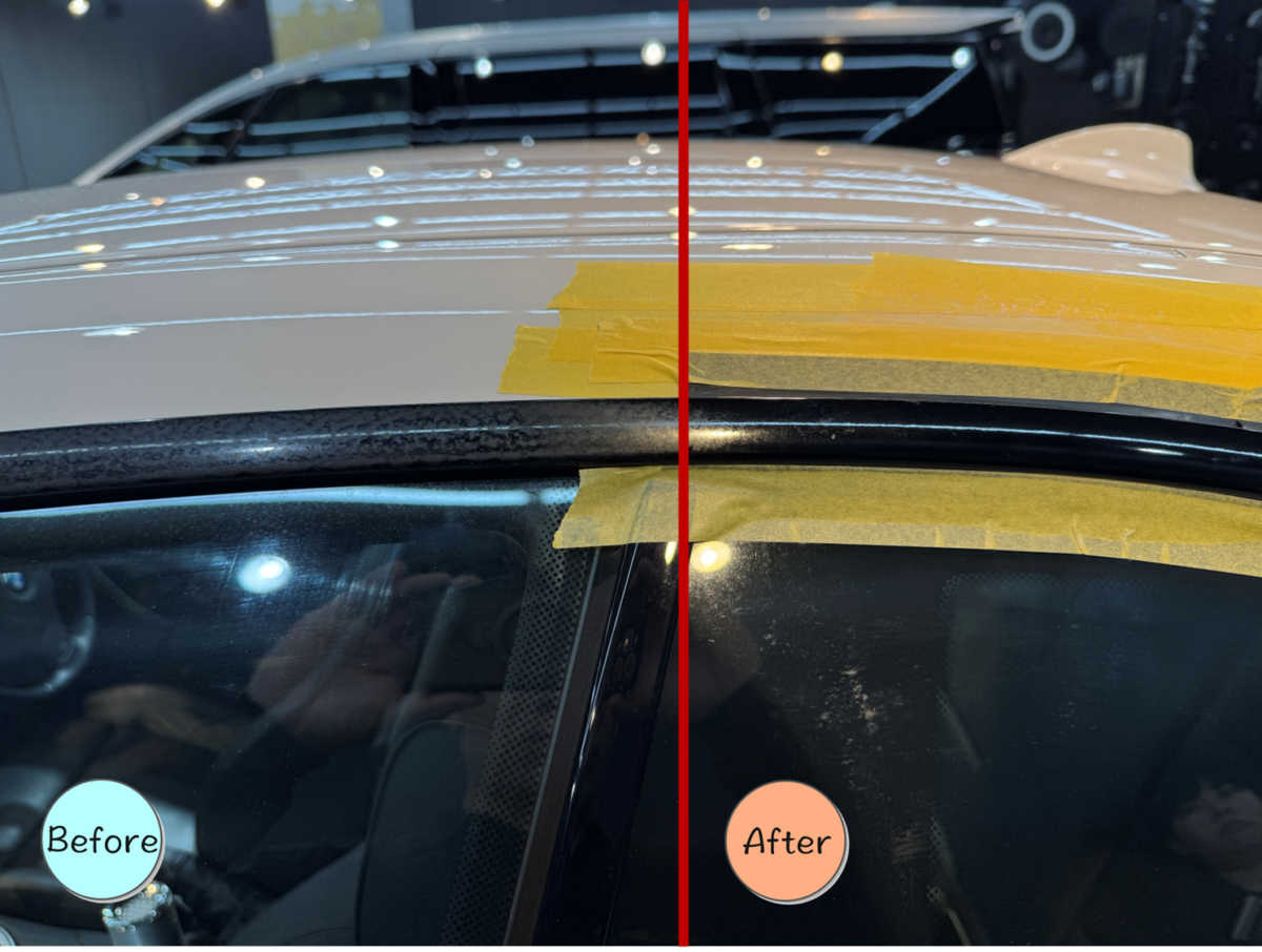 モールのリペア