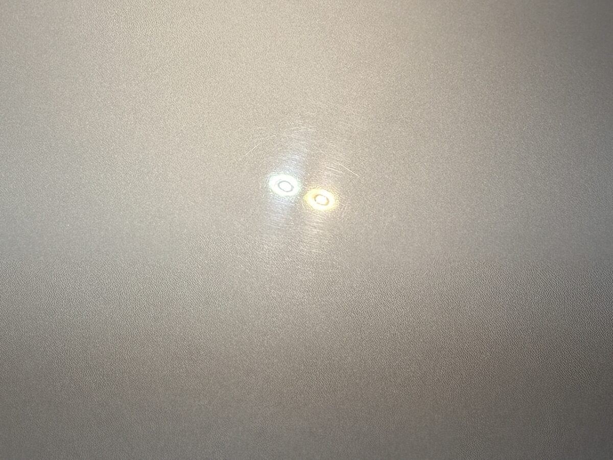 カレラの塗装面の状態をチェック