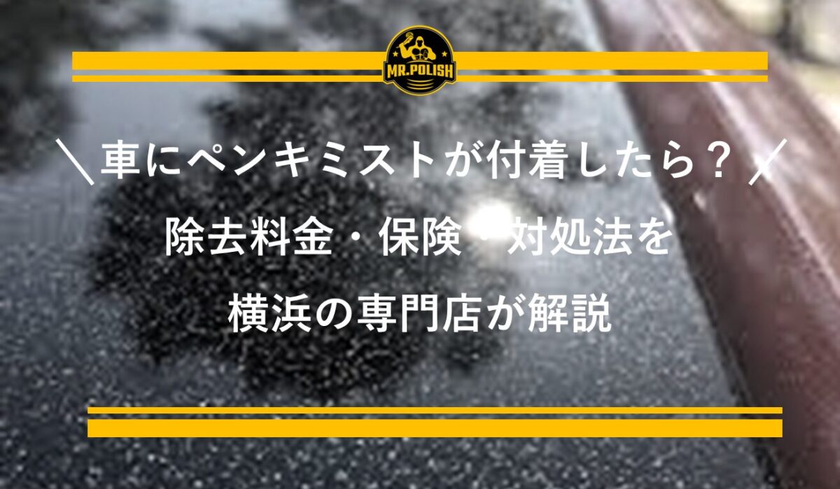車にペイントミスト（ペンキミスト）が付着したら？除去料金・保険・対処法を横浜の専門店が解説