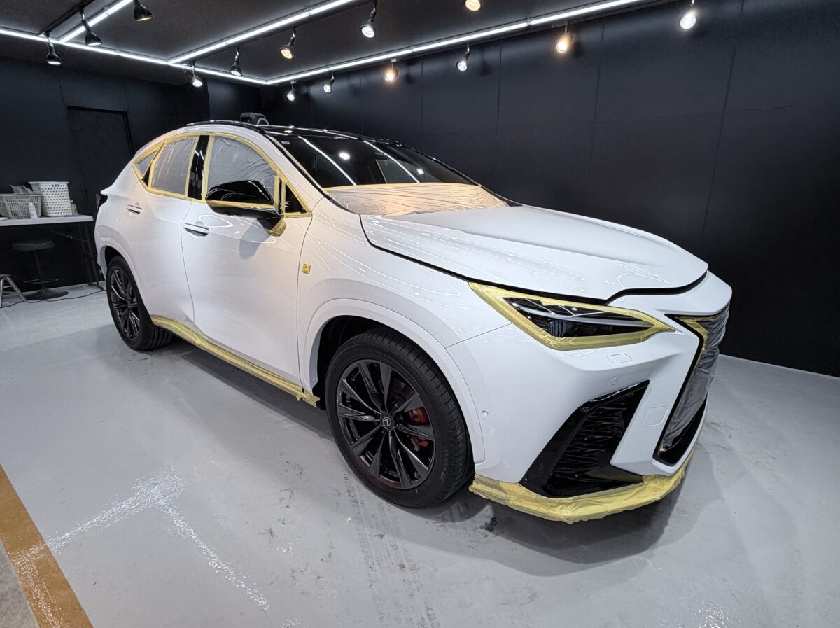 下地処理（洗車・鉄粉除去・磨き）