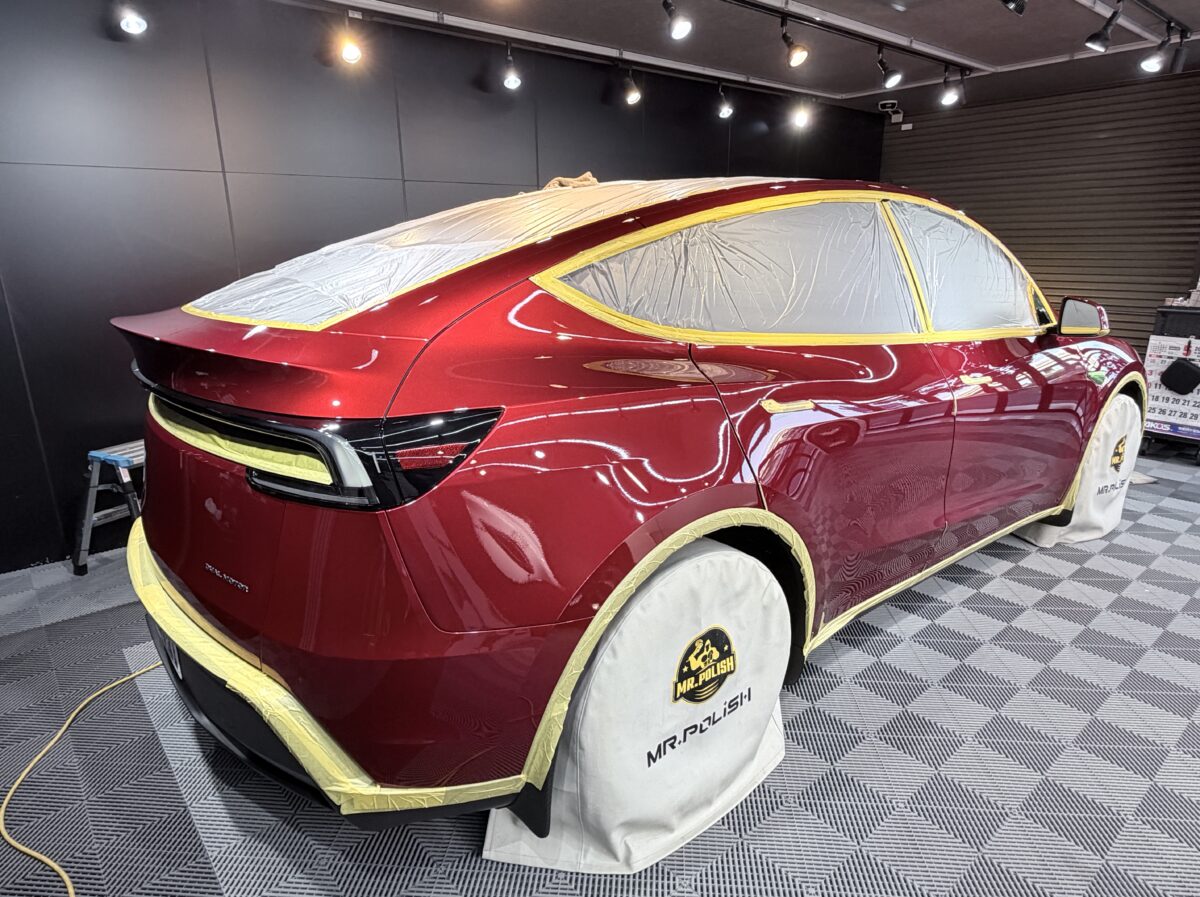 モデルYへのフルマスキング処理
